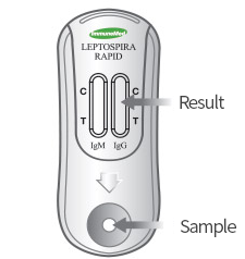 A diagnostic kit is prepared for use after it is taken from the pouch