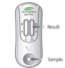A diagnostic kit is prepared for use after it is taken from the pouch